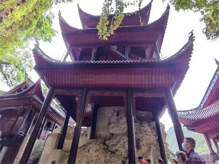 为什么虞书欣和赵露思在95TOP流量剧中展现不同的魅力?